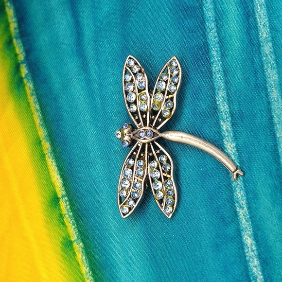 Jewelry - Dragonfly pin
